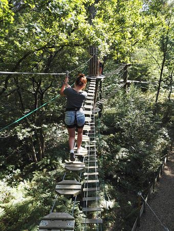 séjours touristiques et locations vacances en Charente Maritime 17